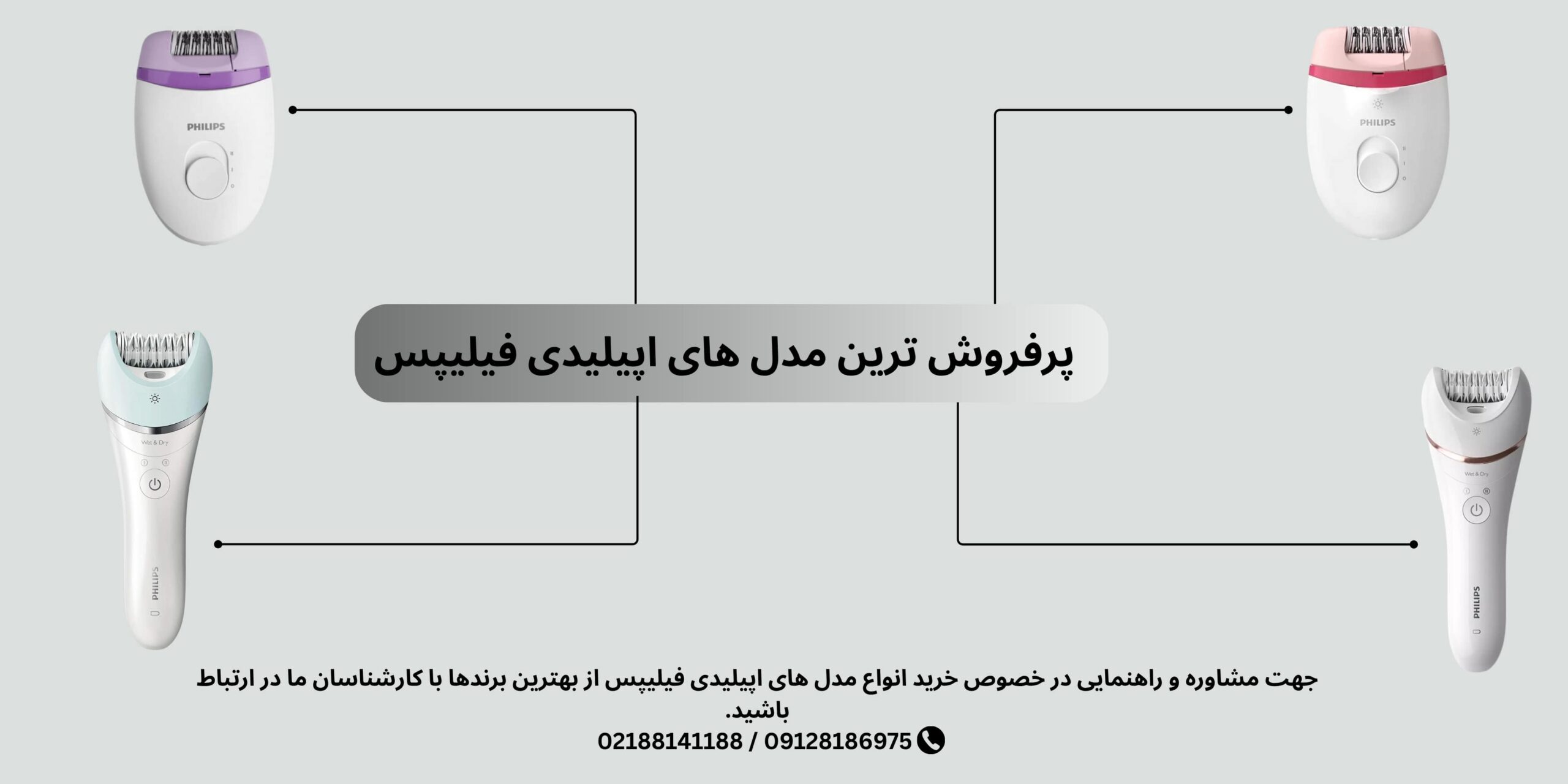 اپیلیدی فیلیپس